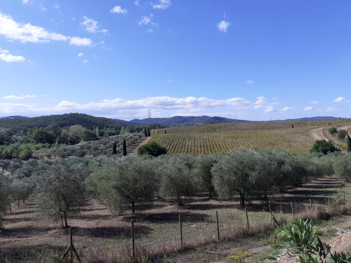 Borgo De' Muracci Ribolla المظهر الخارجي الصورة