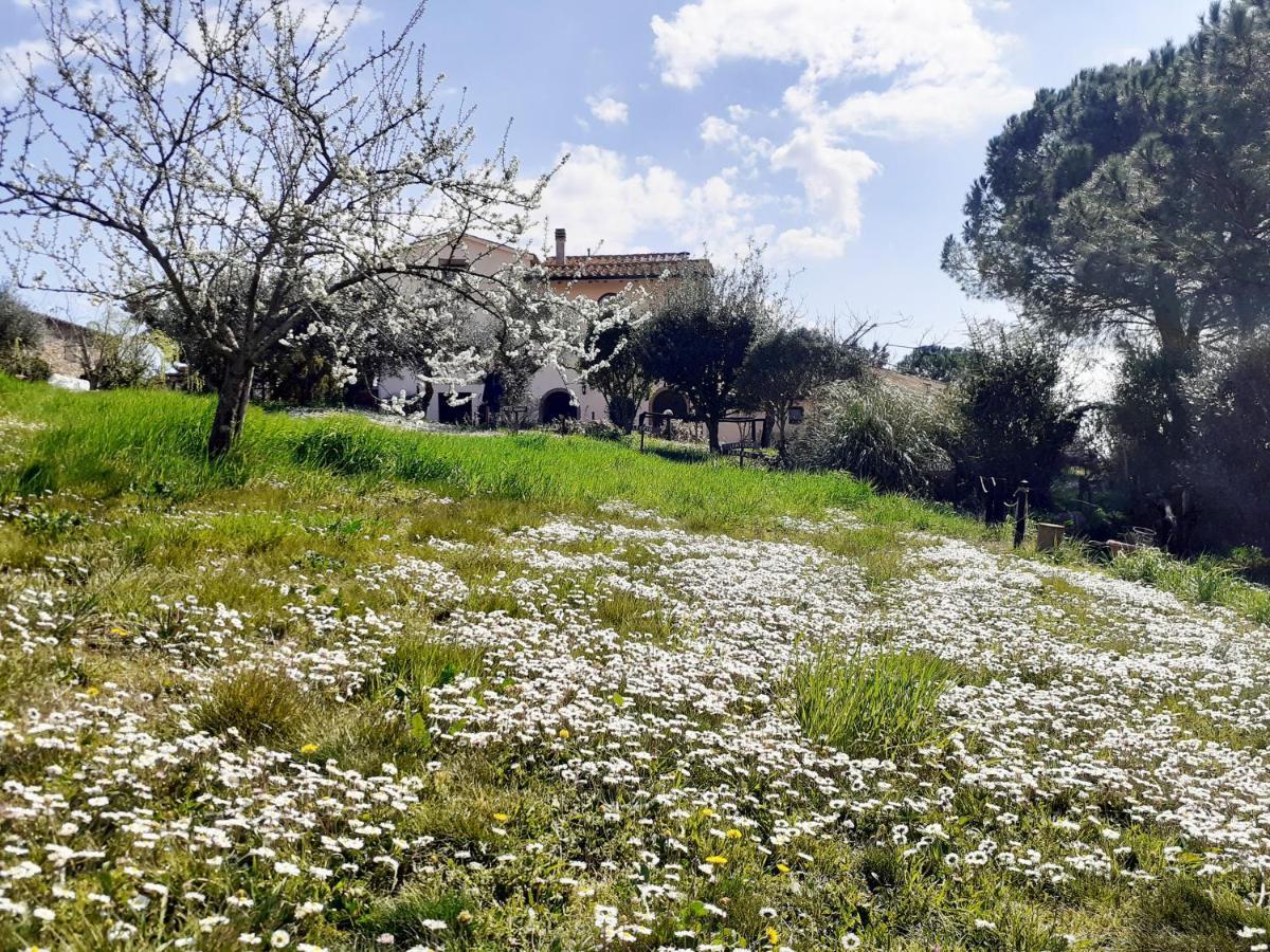 Borgo De' Muracci Ribolla المظهر الخارجي الصورة