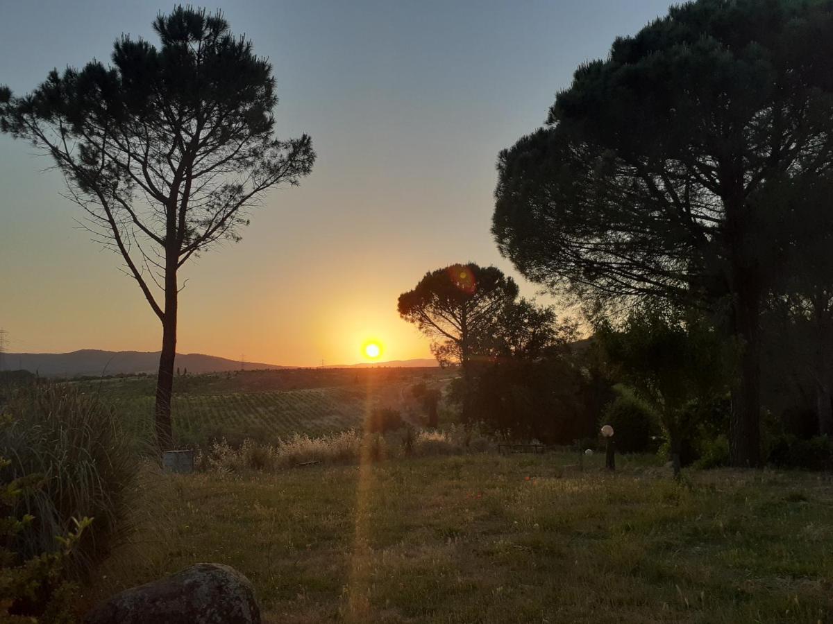 Borgo De' Muracci Ribolla المظهر الخارجي الصورة