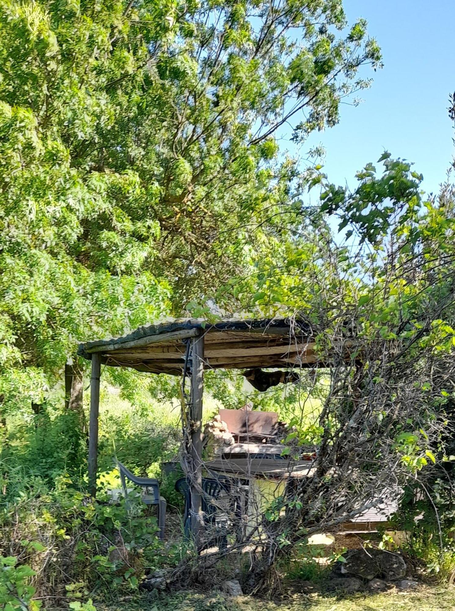 Borgo De' Muracci Ribolla المظهر الخارجي الصورة