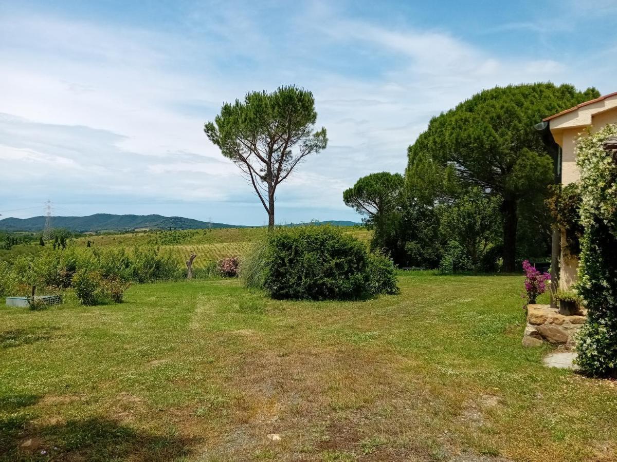 Borgo De' Muracci Ribolla المظهر الخارجي الصورة