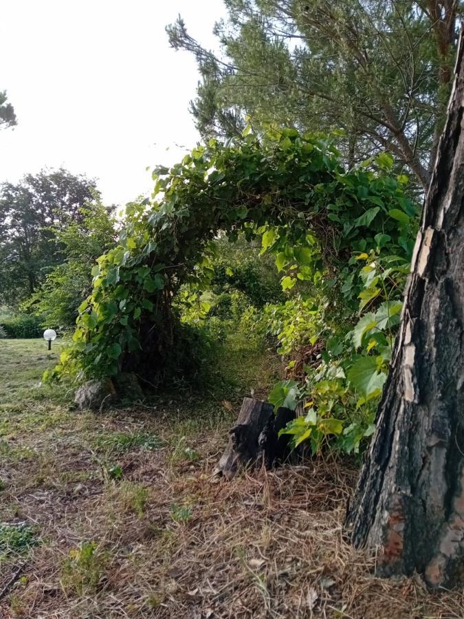 Borgo De' Muracci Ribolla المظهر الخارجي الصورة