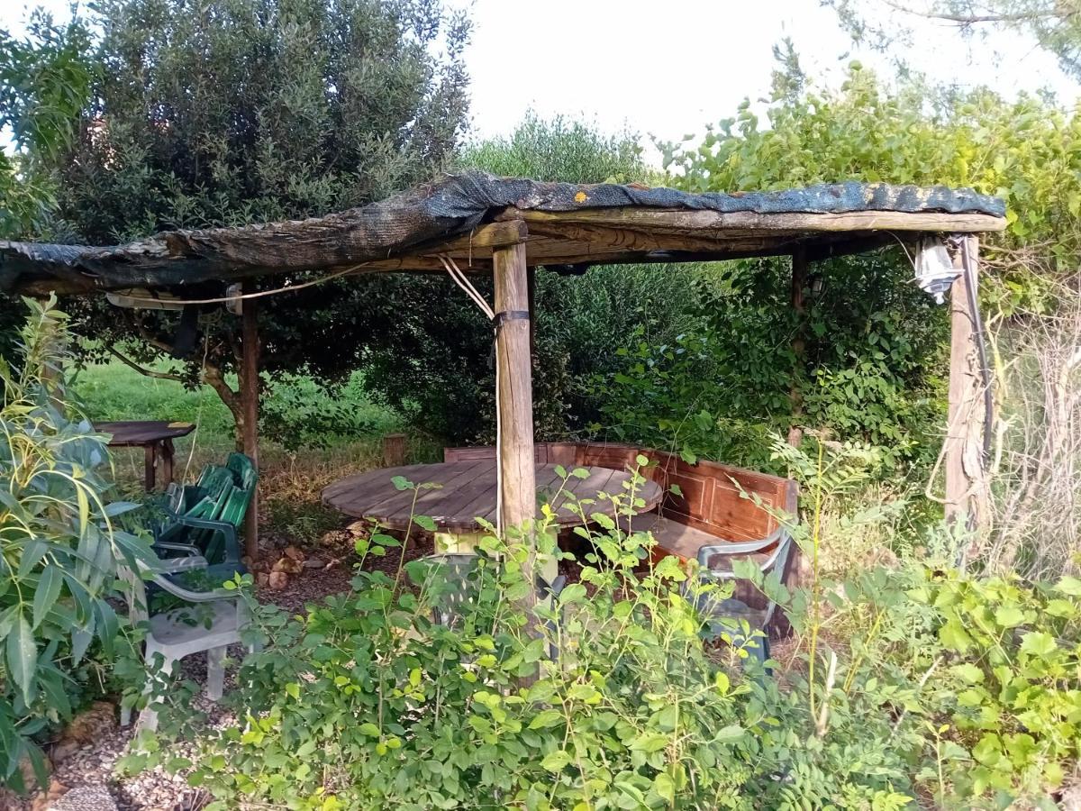 Borgo De' Muracci Ribolla المظهر الخارجي الصورة