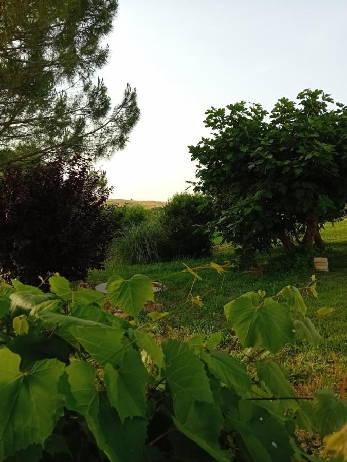 Borgo De' Muracci Ribolla المظهر الخارجي الصورة