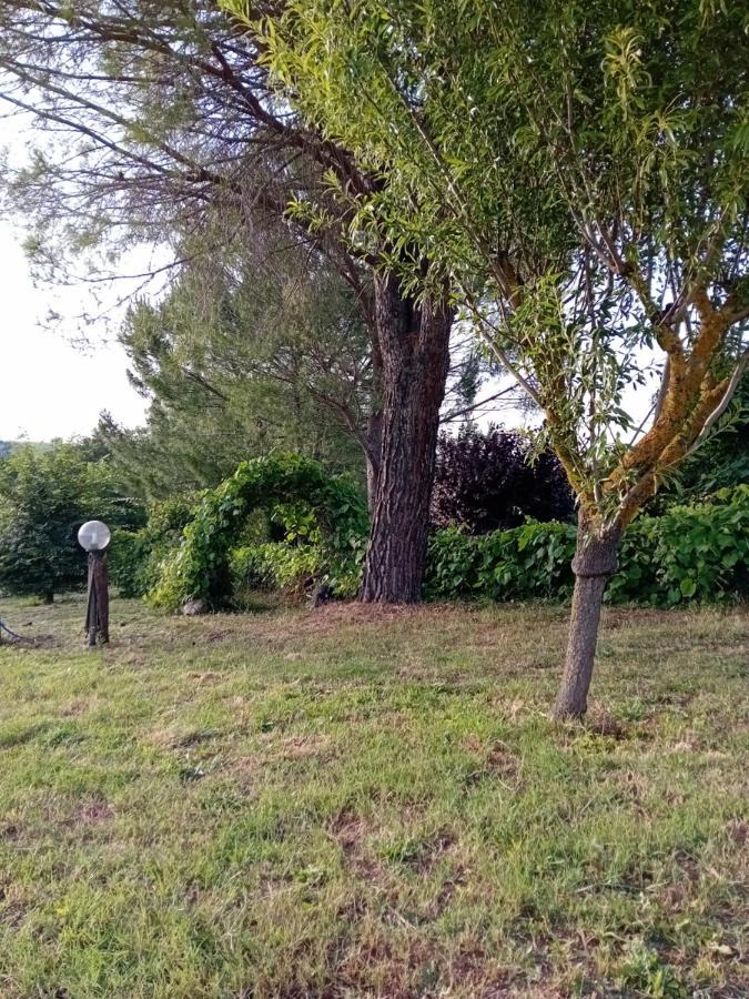 Borgo De' Muracci Ribolla المظهر الخارجي الصورة