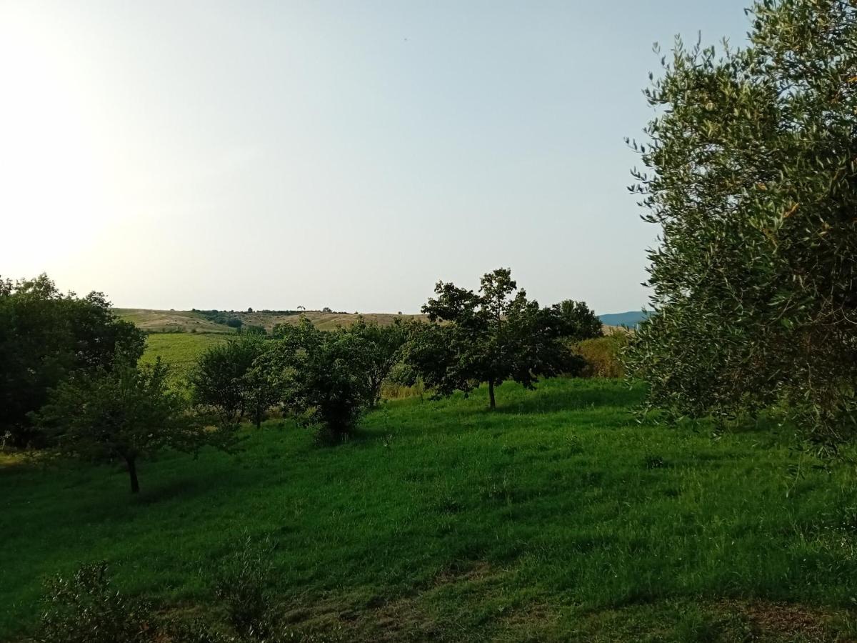Borgo De' Muracci Ribolla المظهر الخارجي الصورة