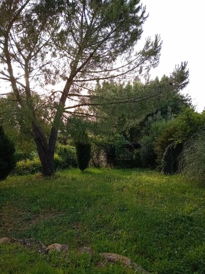 Borgo De' Muracci Ribolla المظهر الخارجي الصورة