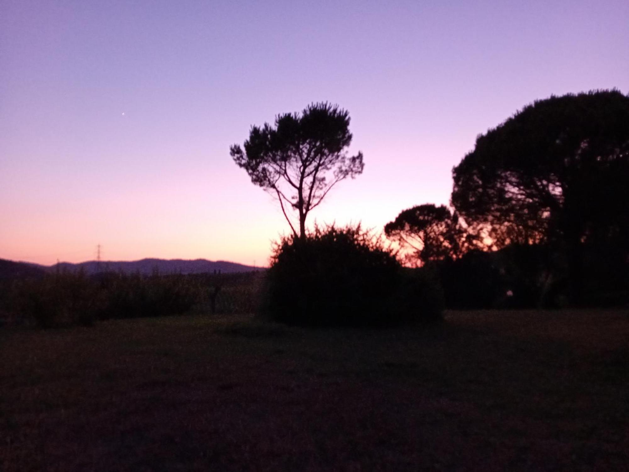 Borgo De' Muracci Ribolla المظهر الخارجي الصورة
